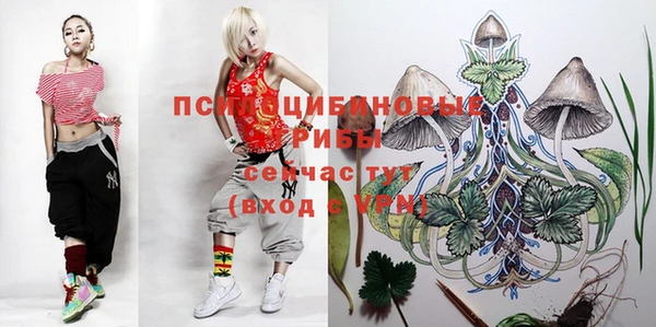 гашик Абаза