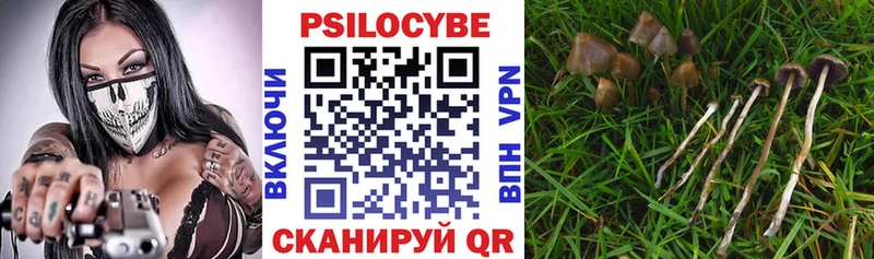 купить наркотики цена  Ленинградская  Псилоцибиновые грибы ЛСД 